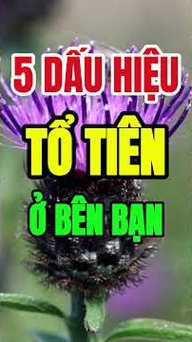 Khung hình video 5 dấu hiệu tổ tiên